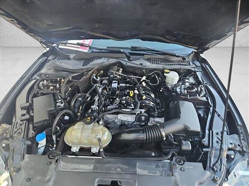 Used 2022 Ford Mustang Coupe w/ Equipment Group 101A RWD image 23