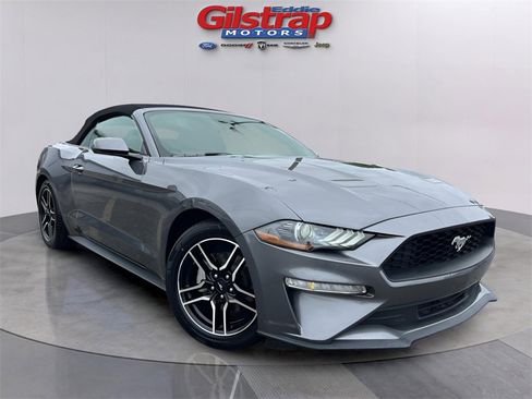 Used 2022 Ford Mustang Premium image 1