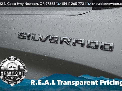 Used 2019 Chevrolet Silverado 1500 LT w/ All-Star Edition image 25