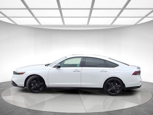 Certified 2025 Honda Accord Sport image 6