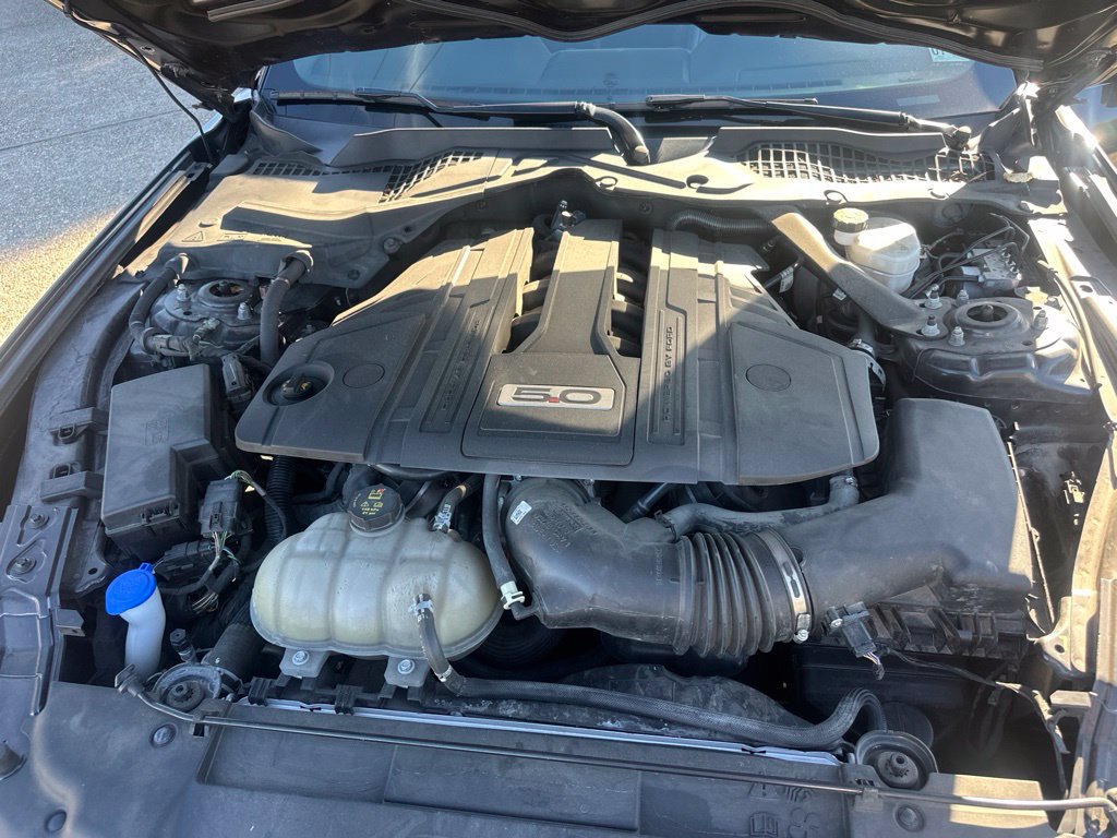 Used 2023 Ford Mustang GT Premium w/ Equipment Group 401A RWD image 15