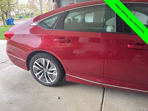 Certified 2021 Honda Accord EX-L image 7