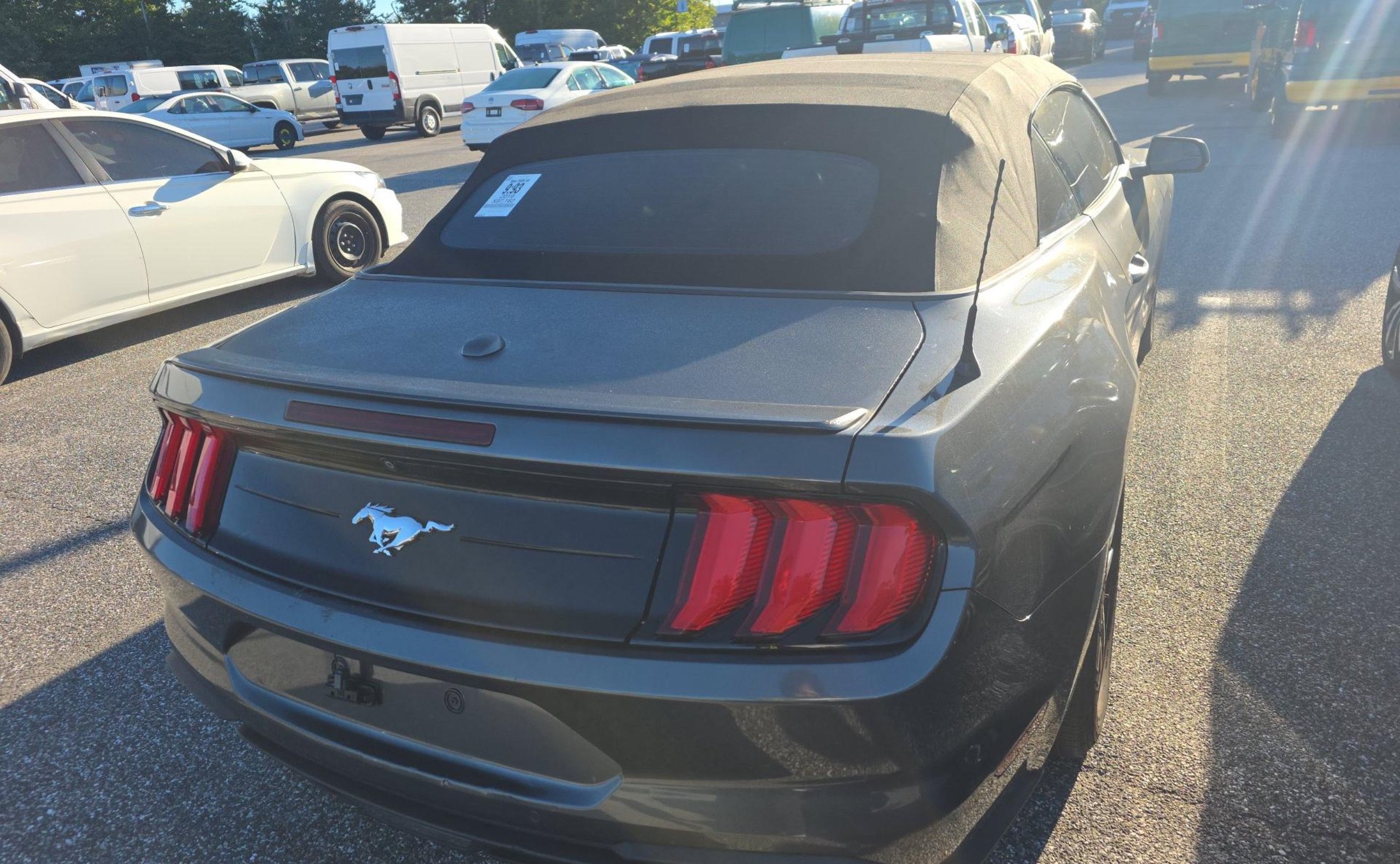 Used 2019 Ford Mustang Premium RWD image 5