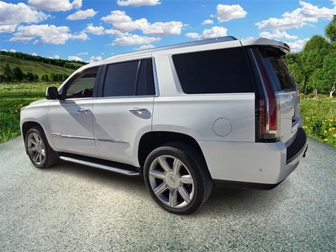 Used 2019 Cadillac Escalade Luxury image 5
