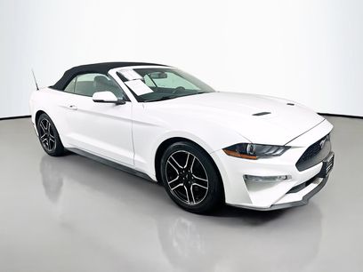 Used 2018 Ford Mustang Premium