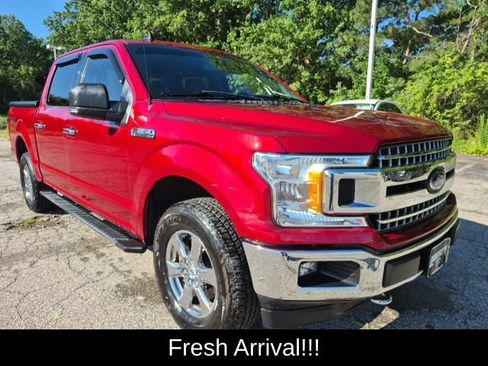Used 2019 Ford F150 XLT w/ Equipment Group 302A Luxury AWD/4WD image 13
