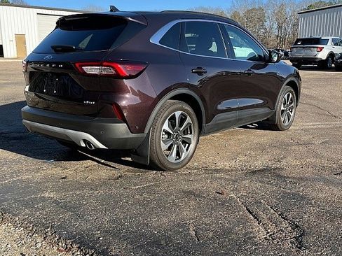 Used 2023 Ford Escape Platinum w/ Premium Technology Package image 5