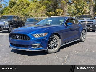 Used 2016 Ford Mustang Premium w/ Equipment Group 201A video 1