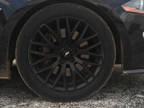 Used 2019 Ford Mustang GT Premium w/ Equipment Group 401A RWD image 20