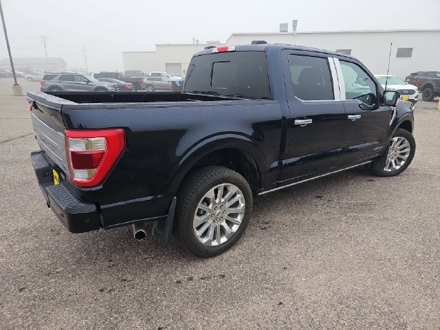 Used 2023 Ford F150 Limited AWD/4WD image 5