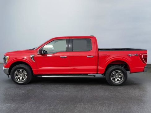 Used 2022 Ford F150 XLT w/ Equipment Group 302A High AWD/4WD image 2