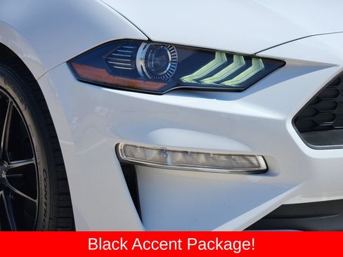 Used 2019 Ford Mustang Coupe w/ Black Accent Package RWD image 9
