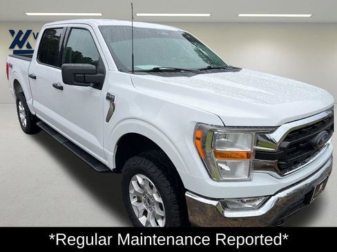 Used 2022 Ford F150 XLT w/ Equipment Group 301A Mid image 3