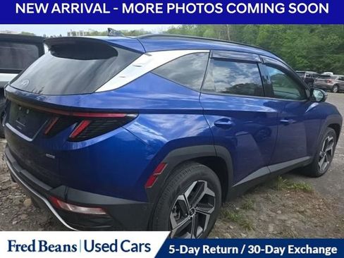 Used 2024 Hyundai Tucson Limited AWD/4WD image 12
