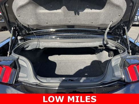 Used 2024 Ford Mustang Premium RWD image 6