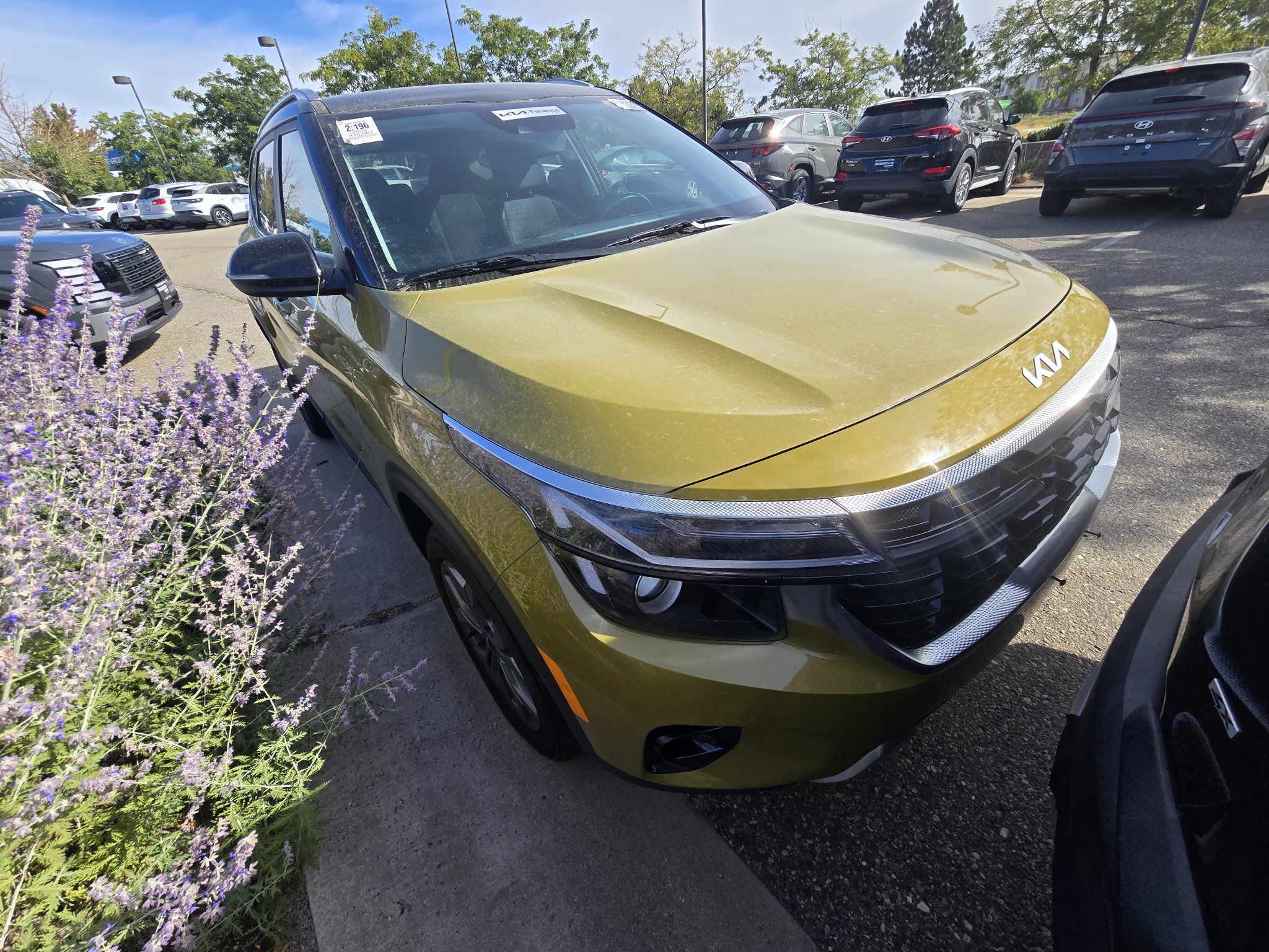Used 2024 Kia Seltos S AWD/4WD image 16