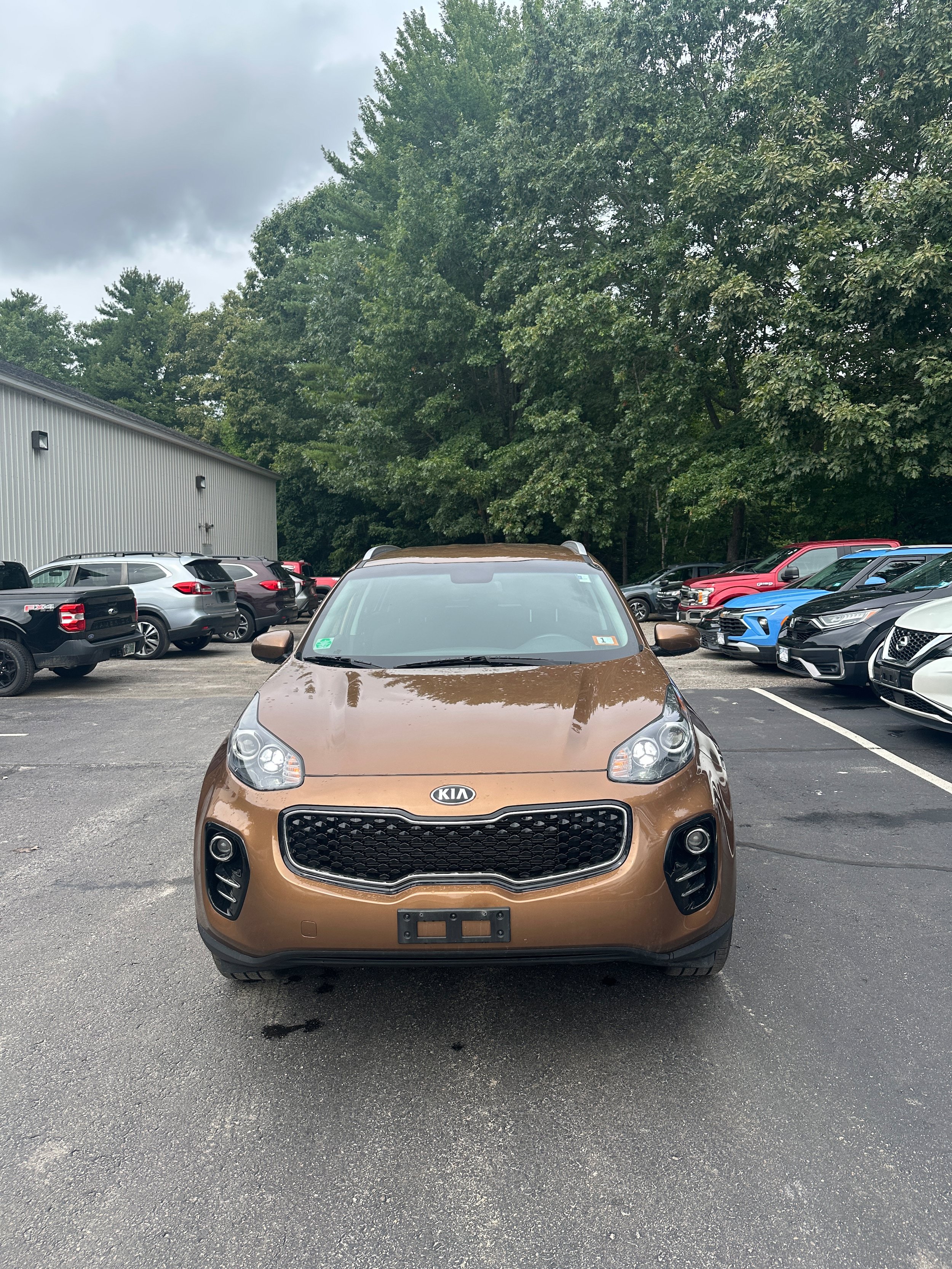 Used 2019 Kia Sportage LX w/ LX Popular Package AWD/4WD image 2