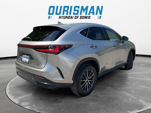 Used 2024 Lexus NX 350 AWD image 6