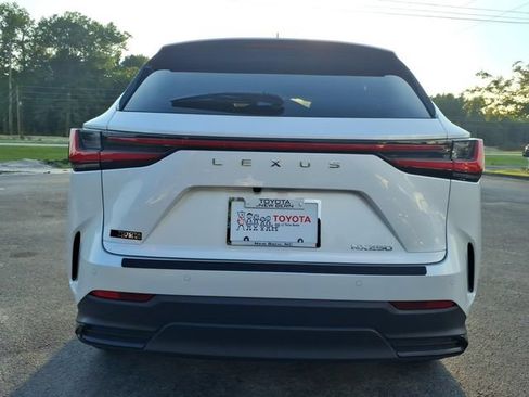 Used 2024 Lexus NX 250 FWD image 2