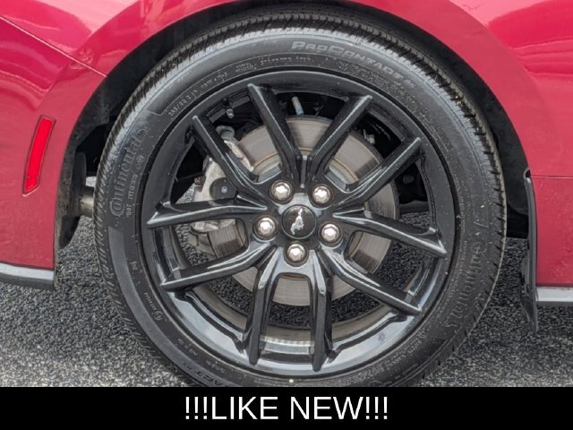 Certified 2025 Ford Mustang Premium w/ Mustang Nite Pony Package RWD image 10