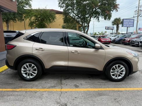 Used 2020 Ford Escape SE AWD/4WD image 5