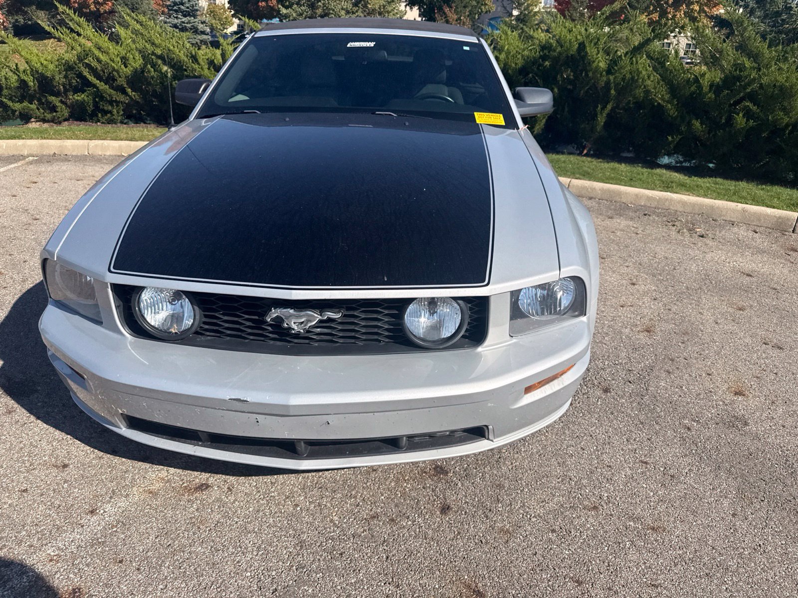Used 2007 Ford Mustang Convertible RWD image 2