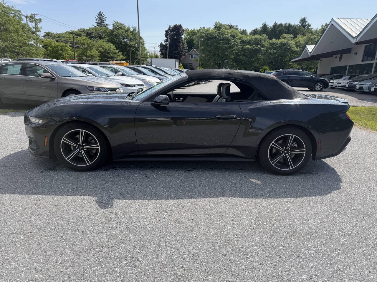 Used 2024 Ford Mustang Premium RWD image 10