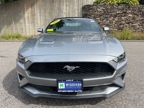 Used 2022 Ford Mustang Premium image 8