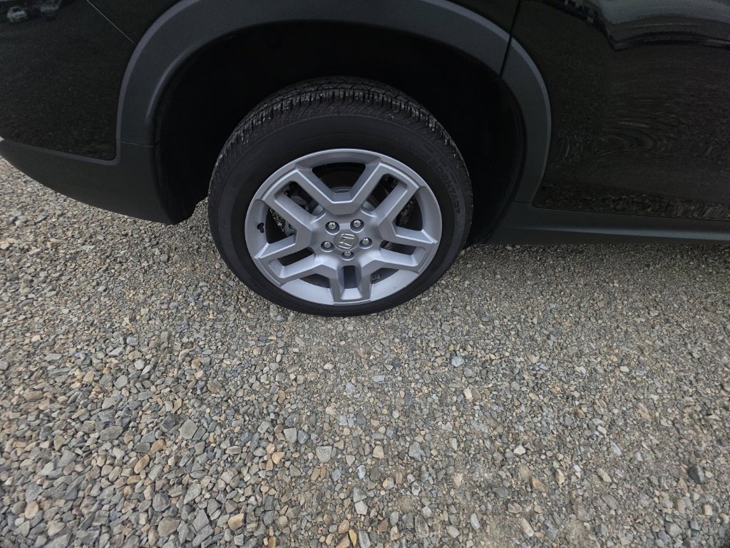 Certified 2024 Honda Passport EX-L image 11