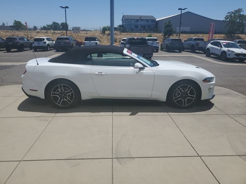 Used 2023 Ford Mustang Premium image 6