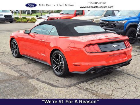 Used 2023 Ford Mustang Premium image 3