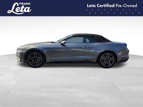 Used 2021 Ford Mustang Premium image 5