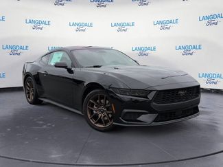 New 2026 Ford Mustang Coupe w/ Bronze Appearance Package RWD video 2