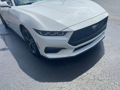 Used 2025 Ford Mustang Premium RWD image 4