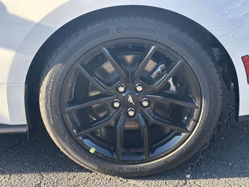 New 2026 Ford Mustang Coupe w/ Mustang Nite Pony Package image 18