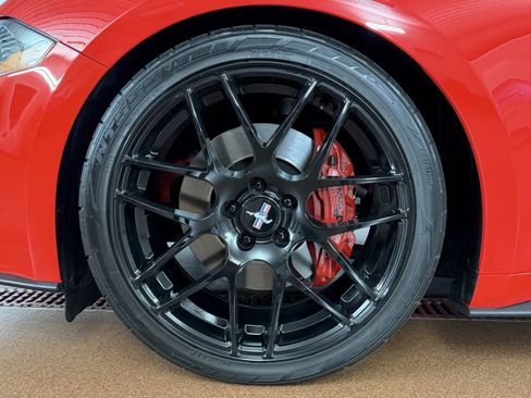 Used 2019 Ford Mustang GT w/ Equipment Group 301A RWD image 8