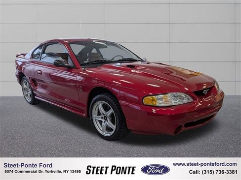 Used 1998 Ford Mustang Cobra image 1