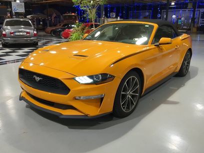 Used 2019 Ford Mustang Premium w/ Equipment Group 201A