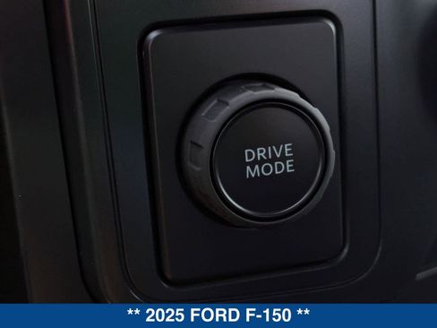 New 2025 Ford F150 STX w/ Equipment Group 200A image 31