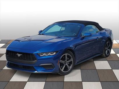 Used 2024 Ford Mustang Premium