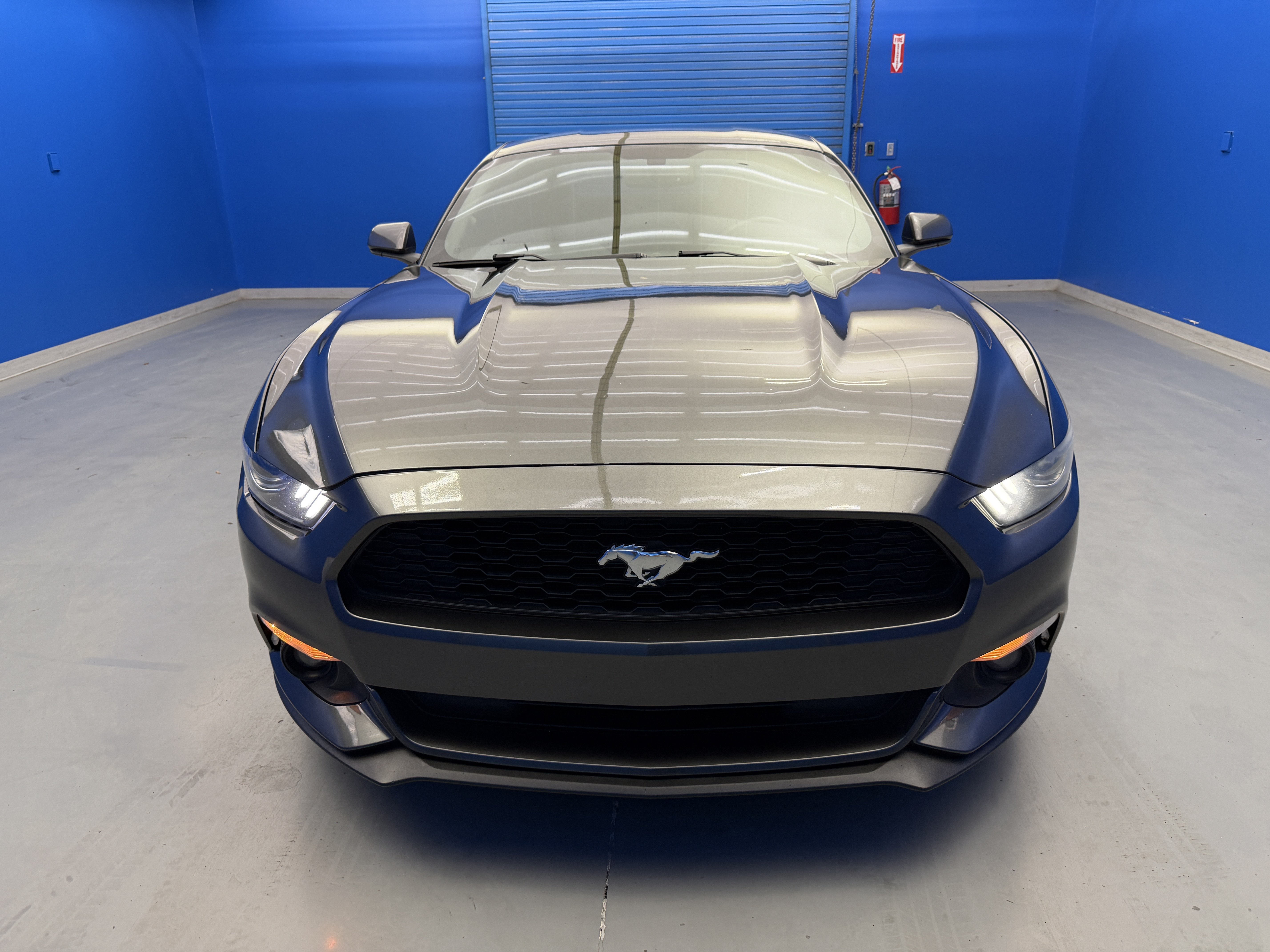 Used 2016 Ford Mustang Coupe w/ Equipment Group 051A RWD image 3