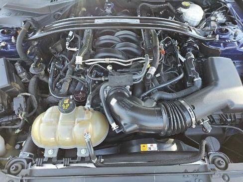 Used 2018 Ford Mustang GT w/ Equipment Group 301A RWD image 7