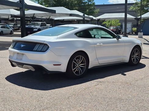 Used 2017 Ford Mustang Premium RWD image 5