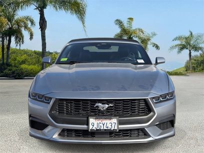 Used 2024 Ford Mustang Premium