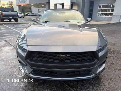 New 2026 Ford Mustang Premium w/ Bronze Appearance Package image 3