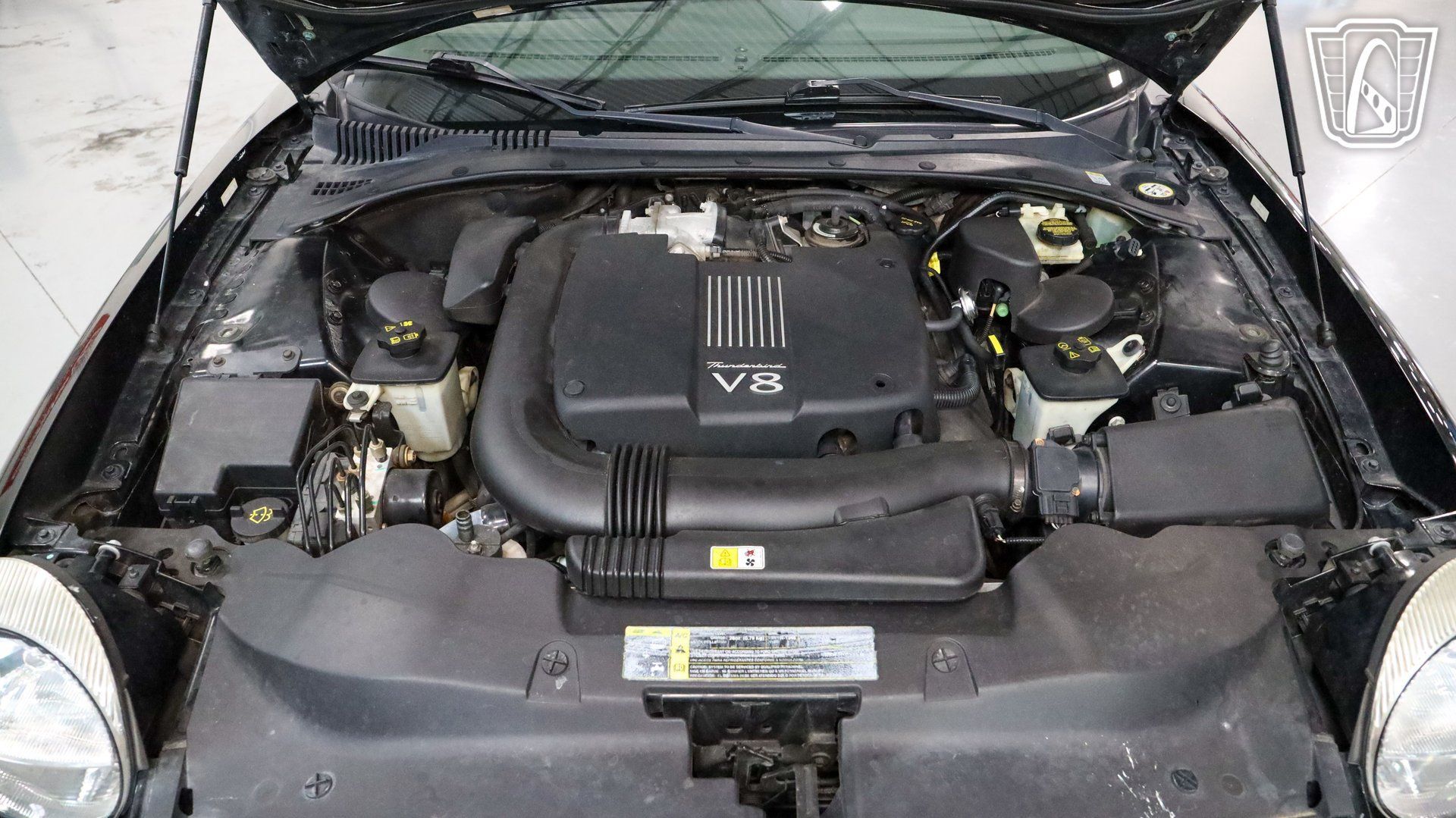 Used 2002 Ford Thunderbird RWD image 11