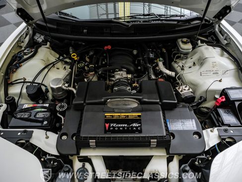 Used 1999 Pontiac Firebird Trans Am RWD image 3