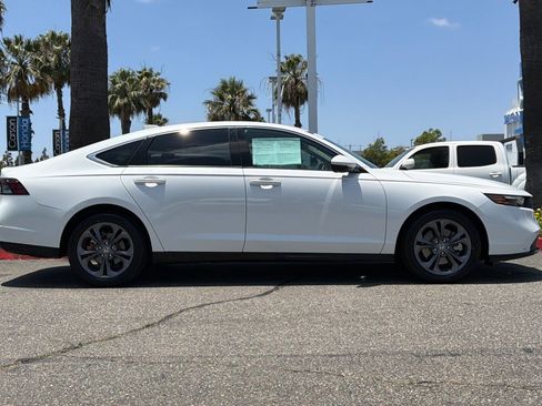 Certified 2025 Honda Accord EX-L image 7