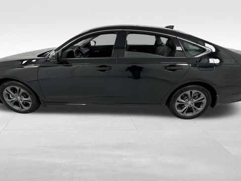 Used 2024 Honda Accord EX-L image 6