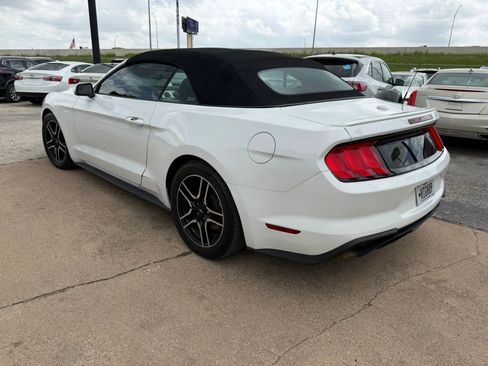 Used 2019 Ford Mustang Premium RWD image 4